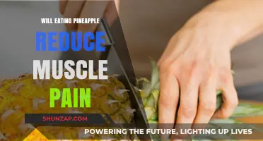 Can Pineapple Ease Muscle Pain? Exploring the Bromelain Benefits
