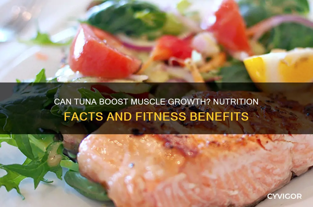 will eating tuna make me gain muscle