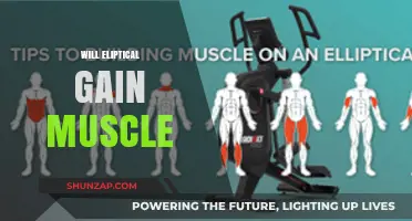 Can Elliptical Training Build Muscle? Unlocking Strength and Tone Benefits