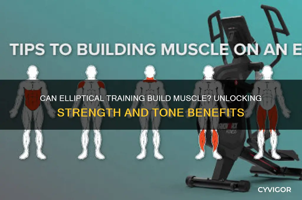 will eliptical gain muscle