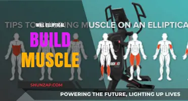 Elliptical Training: Effective for Muscle Building?