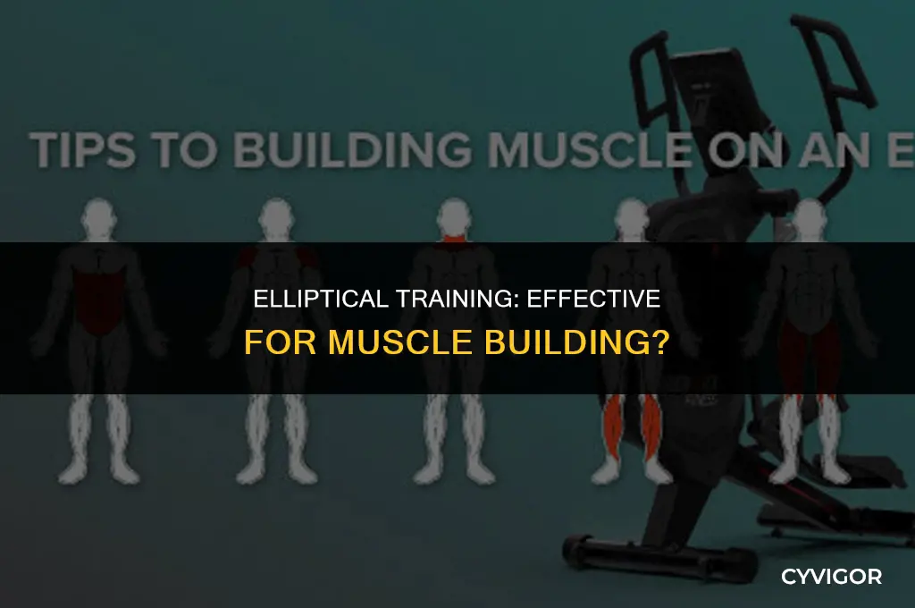 will elliptical build muscle