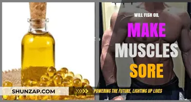 Fish Oil and Muscle Soreness: Fact or Fiction?