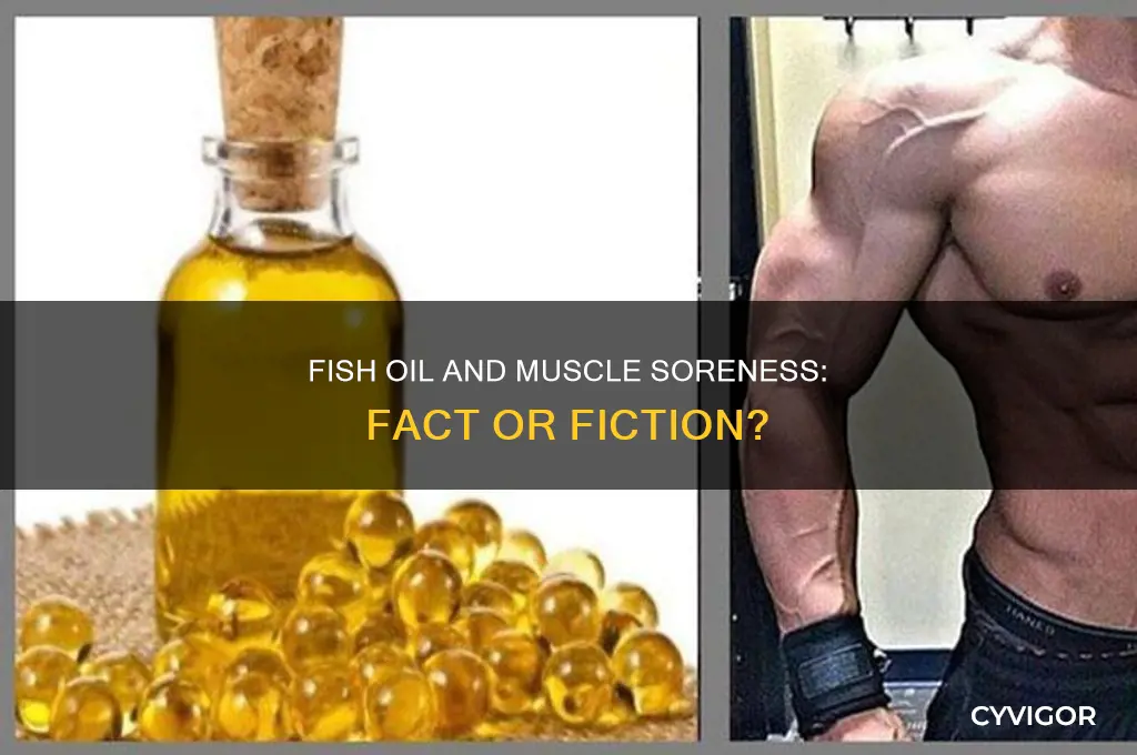 will fish oil make muscles sore