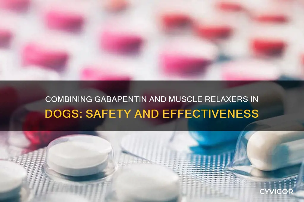 will gabapentin and muscle relaxers work in dogs together