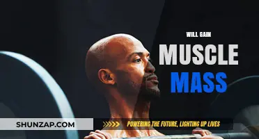 Effective Strategies to Gain Muscle Mass and Transform Your Physique