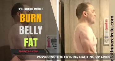 Can Building Muscle Effectively Reduce Stubborn Belly Fat?