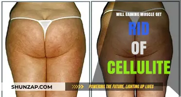 Can Building Muscle Effectively Reduce Cellulite? Facts and Insights
