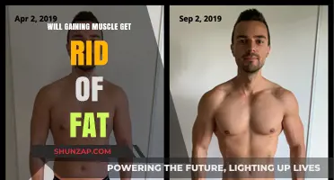 Muscle Building vs. Fat Loss: Can Strength Training Transform Your Body?