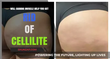 Can Building Muscle Reduce Cellulite? The Surprising Connection Explained