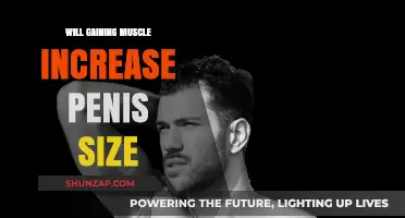 Does Building Muscle Enhance Penis Size? Separating Fact from Fiction