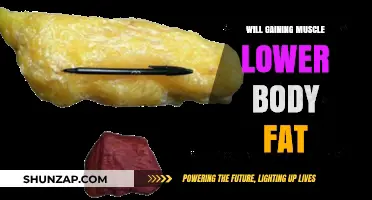 Can Building Muscle Effectively Reduce Body Fat? Facts Revealed