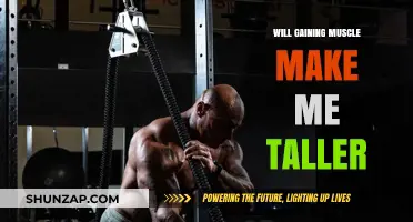 Does Building Muscle Increase Height? Separating Fact from Fiction
