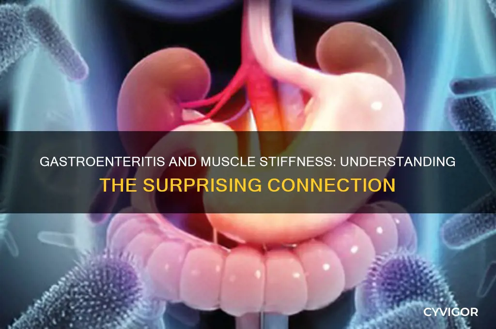 will gastroenteritis cause muscle stiffness