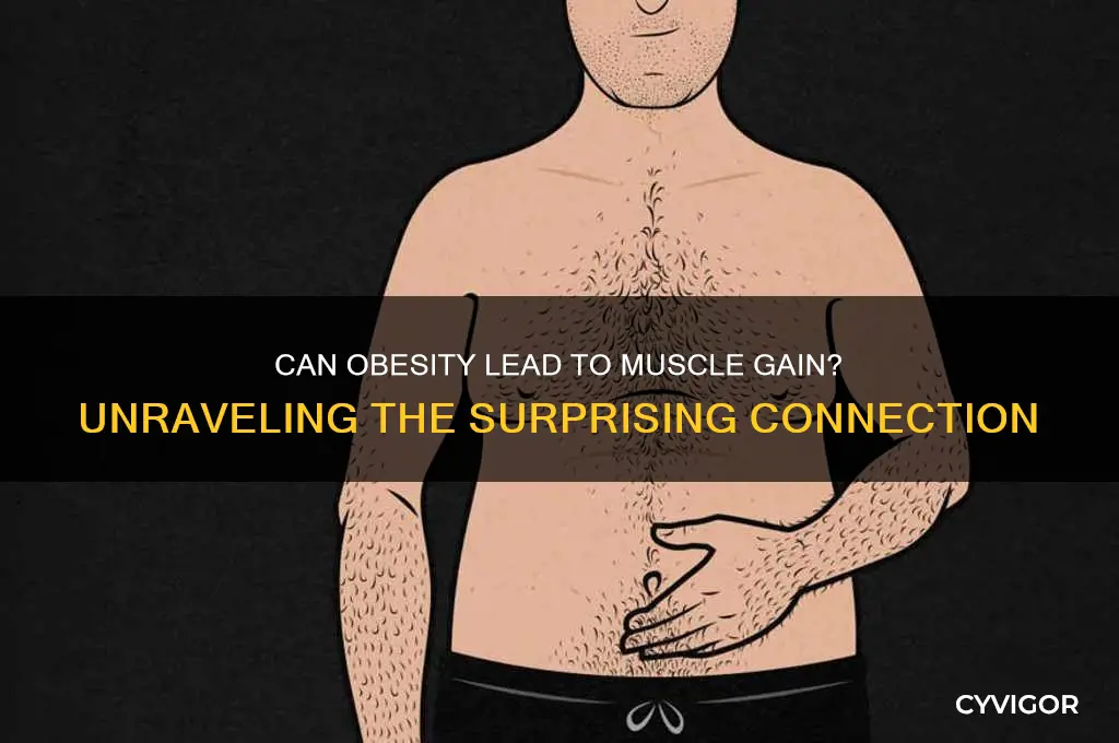 will getting obese gain muscle