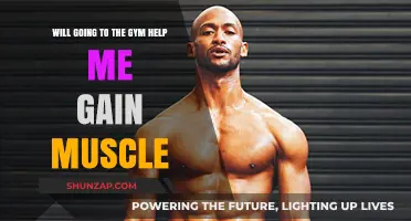 Can Gym Workouts Effectively Build Muscle? Facts and Tips Revealed