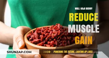 Goji Berry and Muscle Gain: Fact or Fiction?