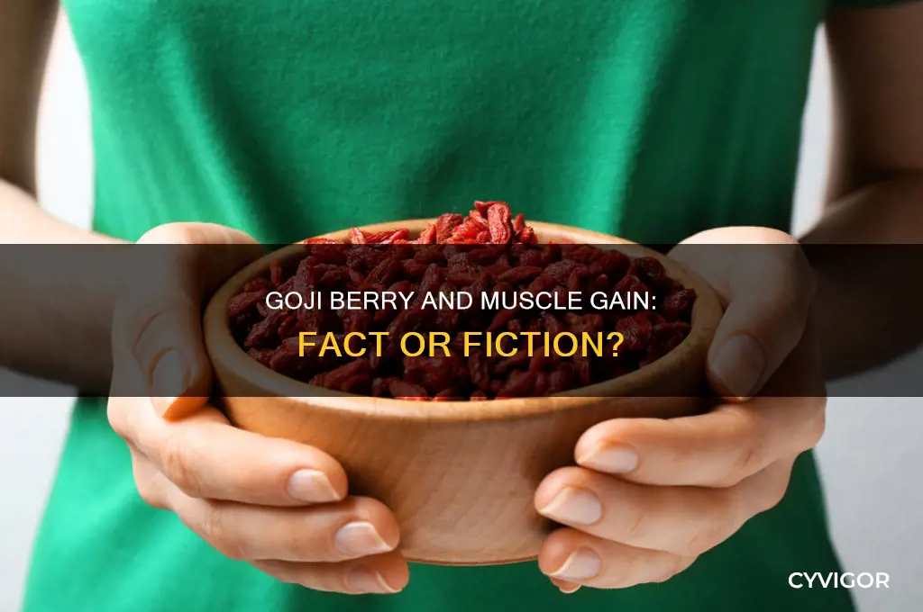 will goji berry reduce muscle gain