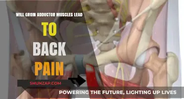 Groin Adductor Muscles and Back Pain: Unraveling the Connection