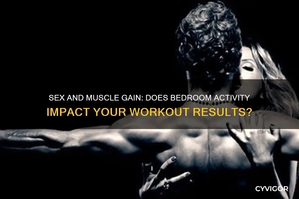 will having sex hurt muscle gain while working out