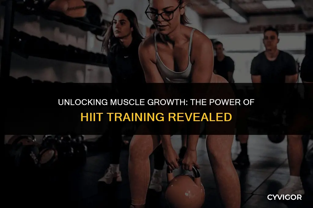 will hiit build muscle