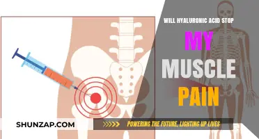 Can Hyaluronic Acid Relieve Muscle Pain? Exploring the Science