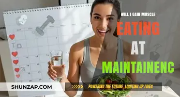 Can You Build Muscle While Eating at Maintenance Calories?