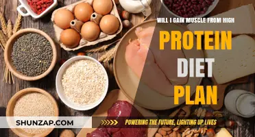 Can a High-Protein Diet Plan Help You Build Muscle Mass?
