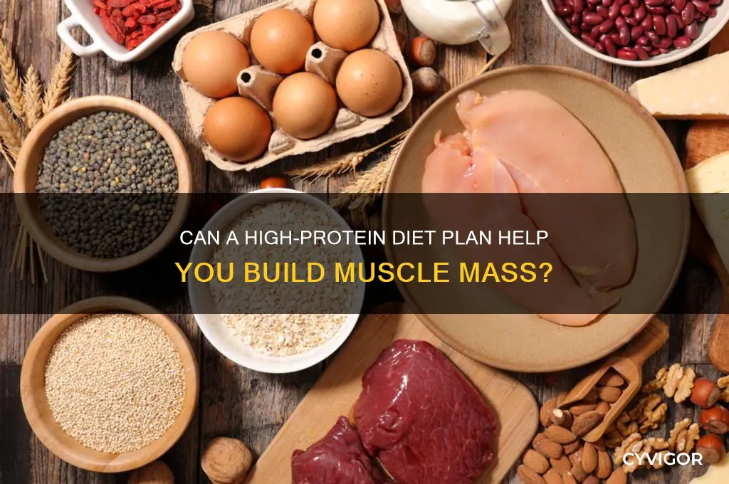 will i gain muscle from high protein diet plan
