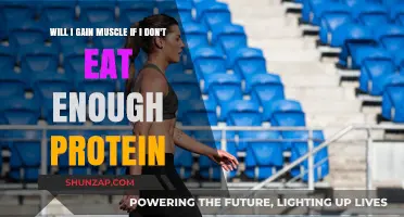 Can You Build Muscle Without Enough Protein? The Truth Revealed