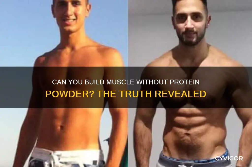 will i gain muscle if i dont take protein powder