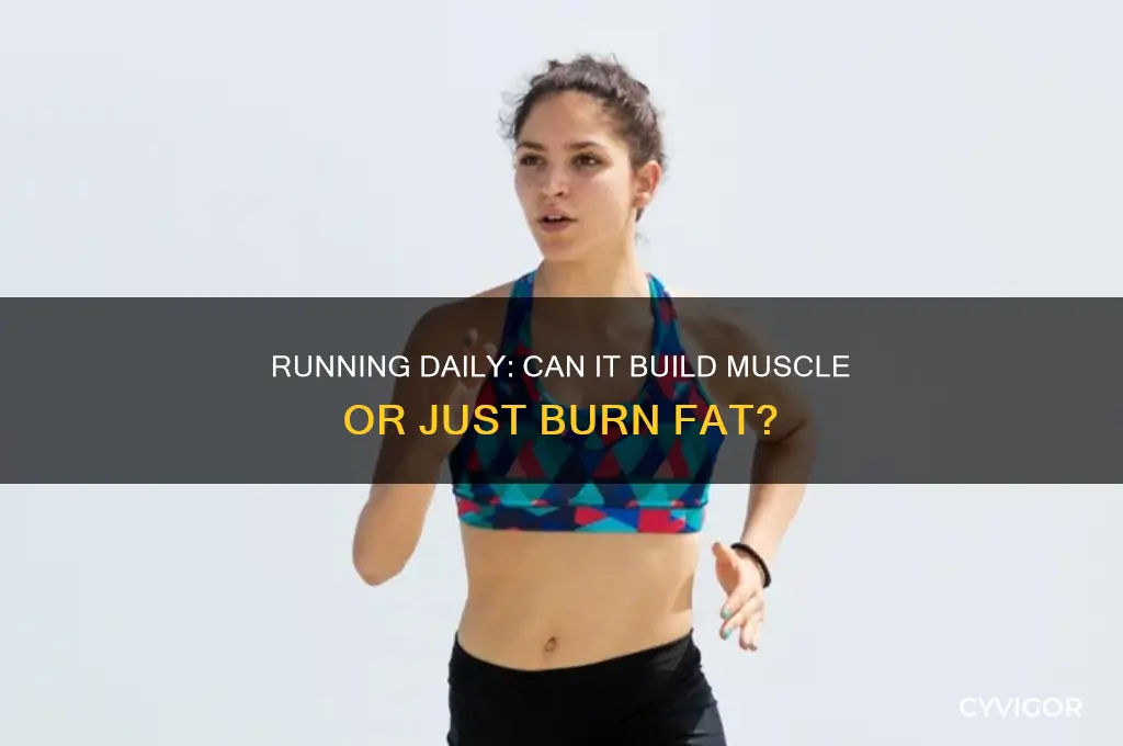 will i gain muscle if i run everyday