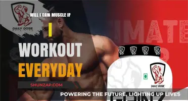 Daily Workouts and Muscle Gain: What You Need to Know