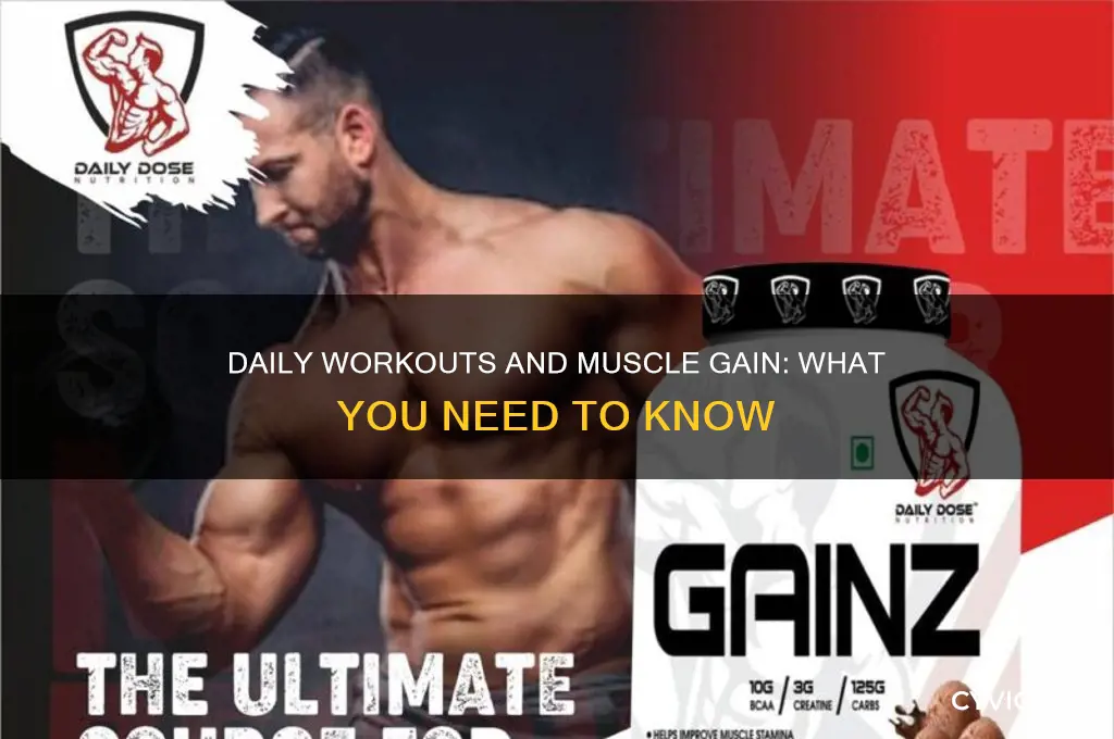 will i gain muscle if i workout everyday