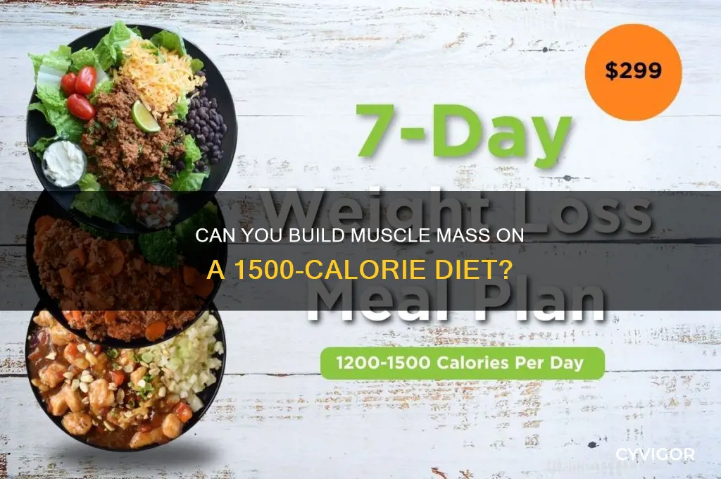 will i gain muscle mass on 1500 cal