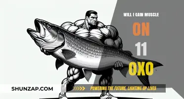 Can 11-Oxo Effectively Support Muscle Gain? A Comprehensive Analysis