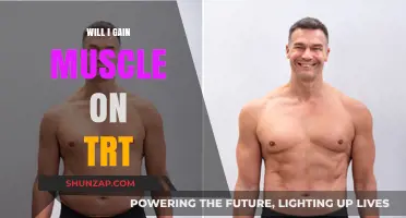 TRT and Muscle Growth: What to Expect on Hormone Therapy