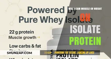 Isolate Protein: Muscle Gain or Weight Increase? What to Expect
