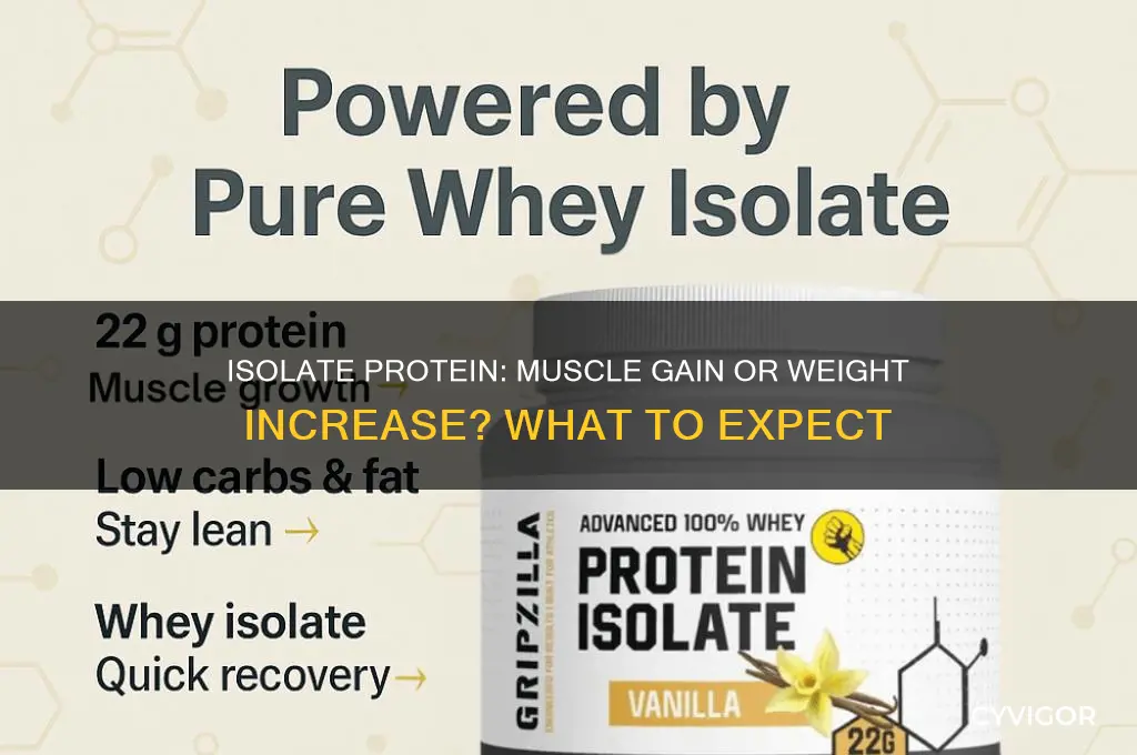will i gain muscle or wieght on isolate protein