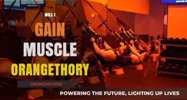 Can Orangetheory Workouts Help You Build Muscle Effectively?