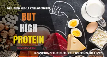 Can You Build Muscle on a Low-Calorie, High-Protein Diet?
