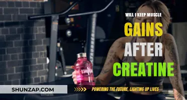 Maintaining Muscle Gains Post-Creatine: What You Need to Know
