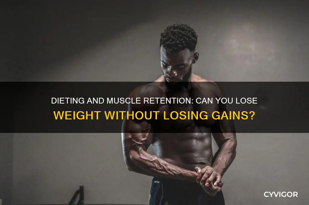 will i lose my muscle gains if i diet