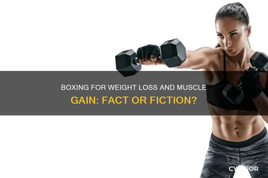 will i lose weight and gain muscle by boxing