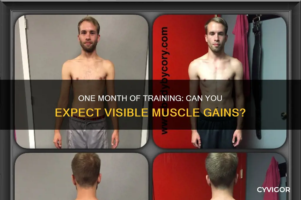 will i see muscle gains after one month