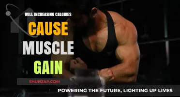 Boosting Calories for Muscle Gain: Fact or Fiction?