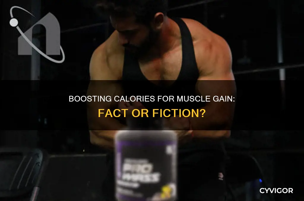 will increasing calories cause muscle gain