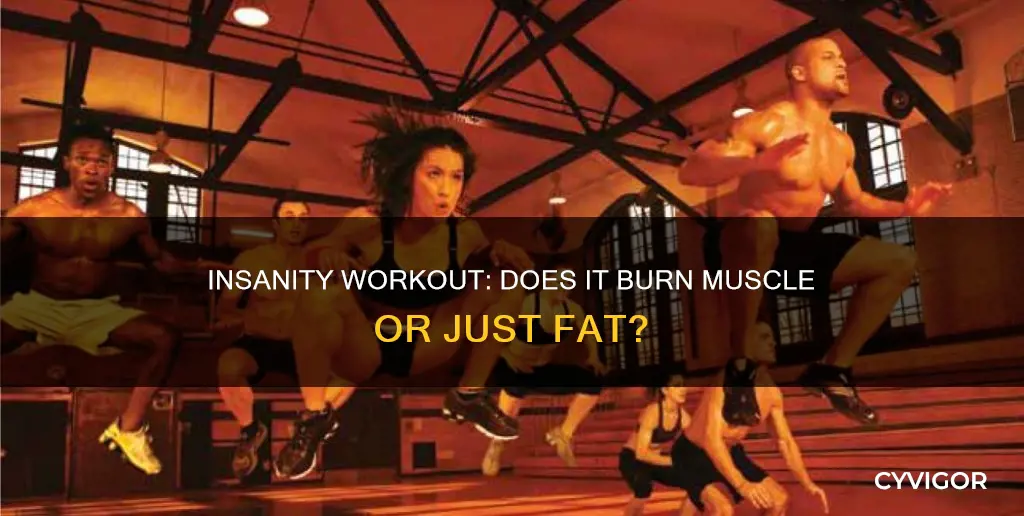 will insanity burn muscle