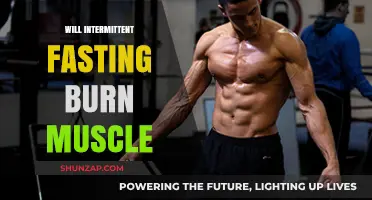 Intermittent Fasting: Muscle Loss or Gain?