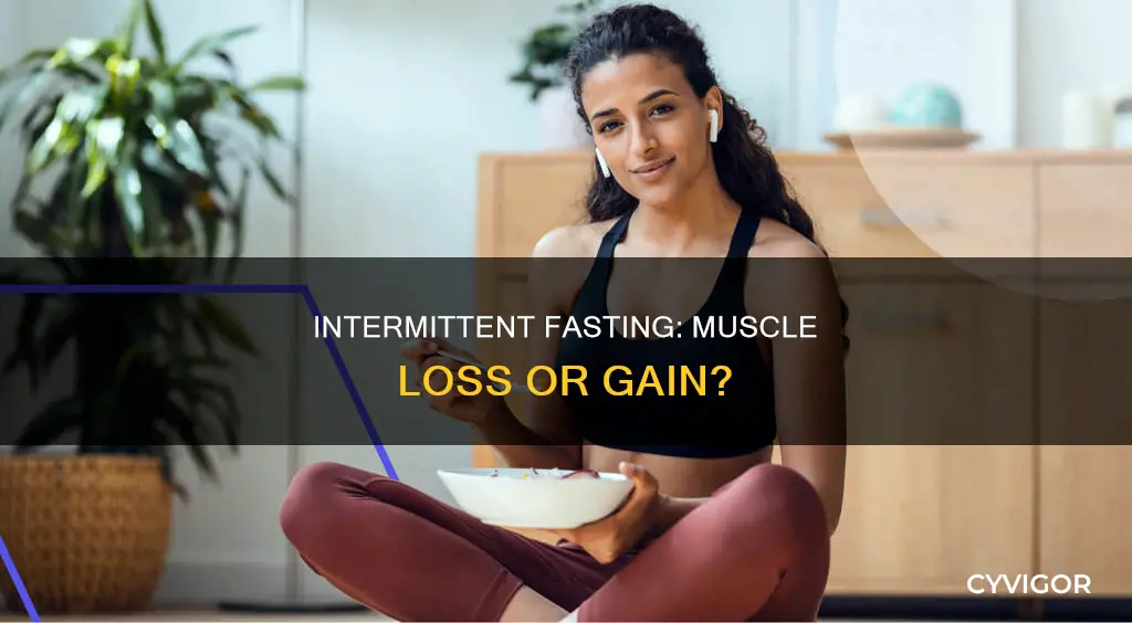 will intermittent fasting burn muscle